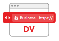 Basic SSL Certificate